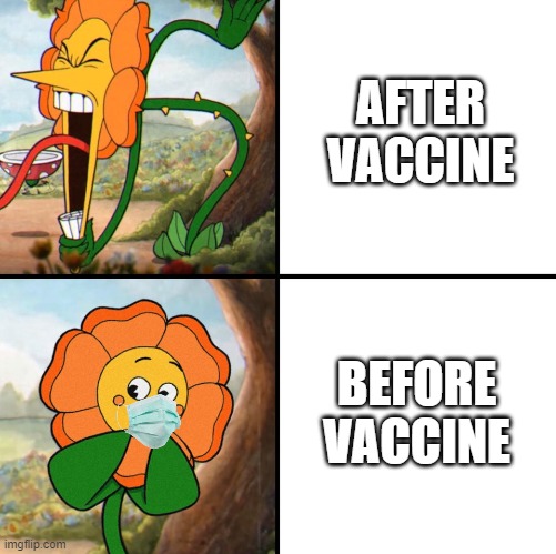 angry flower | AFTER VACCINE; BEFORE VACCINE | image tagged in angry flower | made w/ Imgflip meme maker
