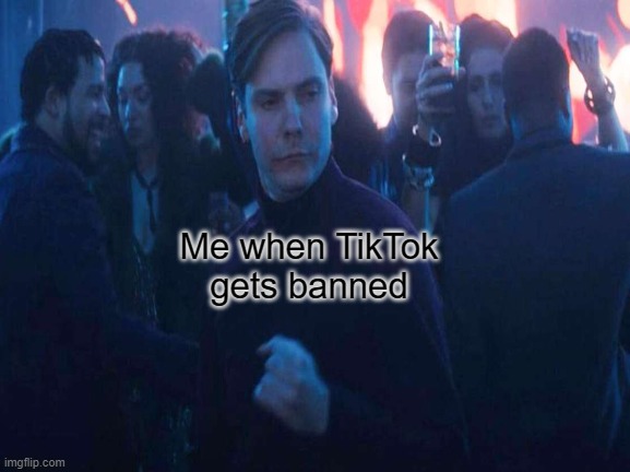 Me when tiktok gets banned |  Me when TikTok gets banned | image tagged in tiktok sucks,nooo haha go brrr,pie charts,pewdiepie,barney will eat all of your delectable biscuits | made w/ Imgflip meme maker