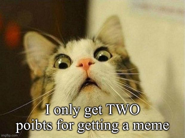 Scared Cat | I only get TWO poibts for getting a meme | image tagged in memes,scared cat | made w/ Imgflip meme maker