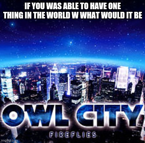 Owl city | IF YOU WAS ABLE TO HAVE ONE THING IN THE WORLD W WHAT WOULD IT BE | image tagged in owl city | made w/ Imgflip meme maker