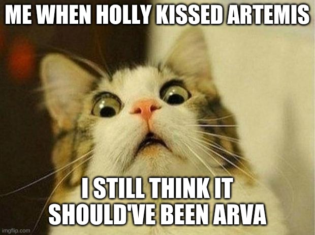 The only cannon ship I don't ship, convince me wrong please, I'd love hearing your opinions | ME WHEN HOLLY KISSED ARTEMIS; I STILL THINK IT SHOULD'VE BEEN ARVA | image tagged in memes,scared cat | made w/ Imgflip meme maker
