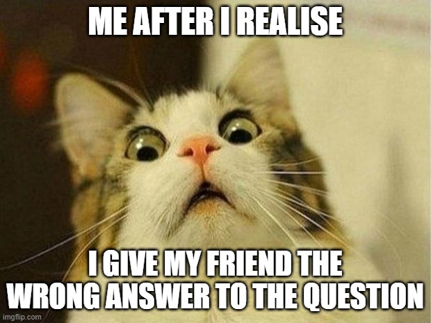 Scared Cat | ME AFTER I REALISE; I GIVE MY FRIEND THE WRONG ANSWER TO THE QUESTION | image tagged in memes,scared cat,school,friends | made w/ Imgflip meme maker