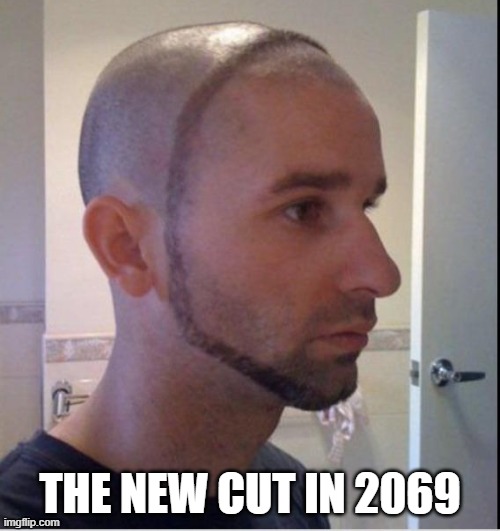  THE NEW CUT IN 2069 | image tagged in i like ya cut g | made w/ Imgflip meme maker
