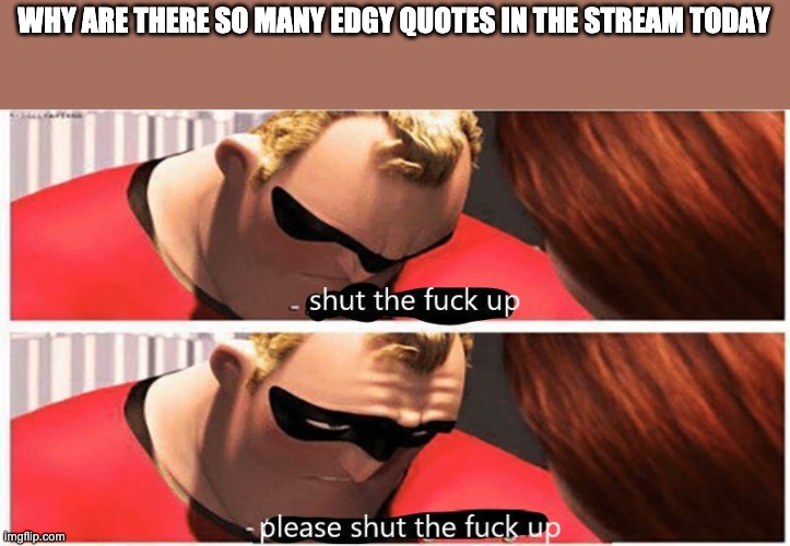 stfu | WHY ARE THERE SO MANY EDGY QUOTES IN THE STREAM TODAY | image tagged in stfu | made w/ Imgflip meme maker