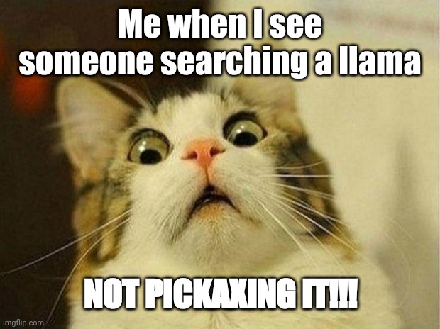 Scared Cat | Me when I see someone searching a llama; NOT PICKAXING IT!!! | image tagged in memes,scared cat | made w/ Imgflip meme maker