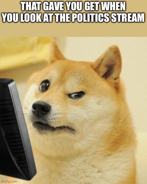 Concerned doge computer | THAT GAVE YOU GET WHEN YOU LOOK AT THE POLITICS STREAM | image tagged in concerned doge computer | made w/ Imgflip meme maker