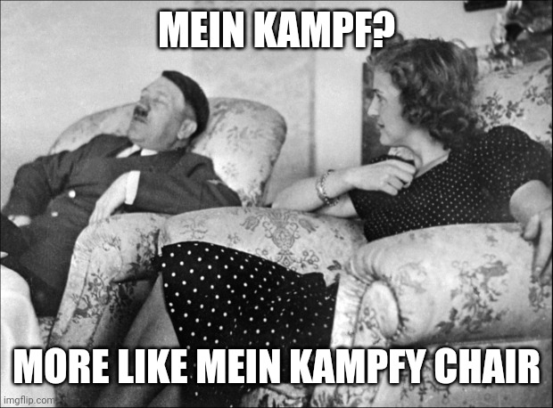 Mein Kampf? | MEIN KAMPF? MORE LIKE MEIN KAMPFY CHAIR | image tagged in hitler,ww2,world war 2,historical meme,random hitler | made w/ Imgflip meme maker