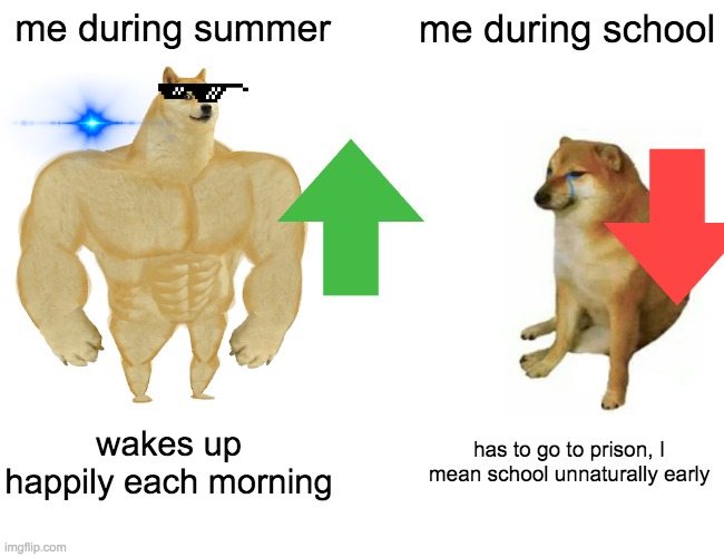 Buff Doge vs. Cheems | me during summer; me during school; wakes up happily each morning; has to go to prison, I mean school unnaturally early | image tagged in memes,buff doge vs cheems | made w/ Imgflip meme maker