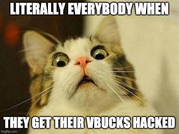 Scared Cat Meme | LITERALLY EVERYBODY WHEN; THEY GET THEIR VBUCKS HACKED | image tagged in memes,scared cat | made w/ Imgflip meme maker