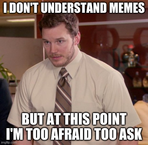 I don't Understand memes | I DON'T UNDERSTAND MEMES; BUT AT THIS POINT I'M TOO AFRAID TOO ASK | image tagged in memes,afraid to ask andy | made w/ Imgflip meme maker