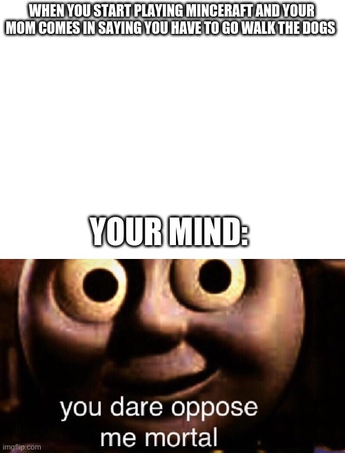 WHEN YOU START PLAYING MINCERAFT AND YOUR MOM COMES IN SAYING YOU HAVE TO GO WALK THE DOGS; YOUR MIND: | image tagged in blank white template,you dare oppose me mortal | made w/ Imgflip meme maker