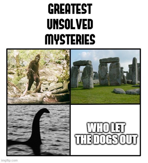 Srsly tho who? | WHO LET THE DOGS OUT | image tagged in unsolved mysteries | made w/ Imgflip meme maker