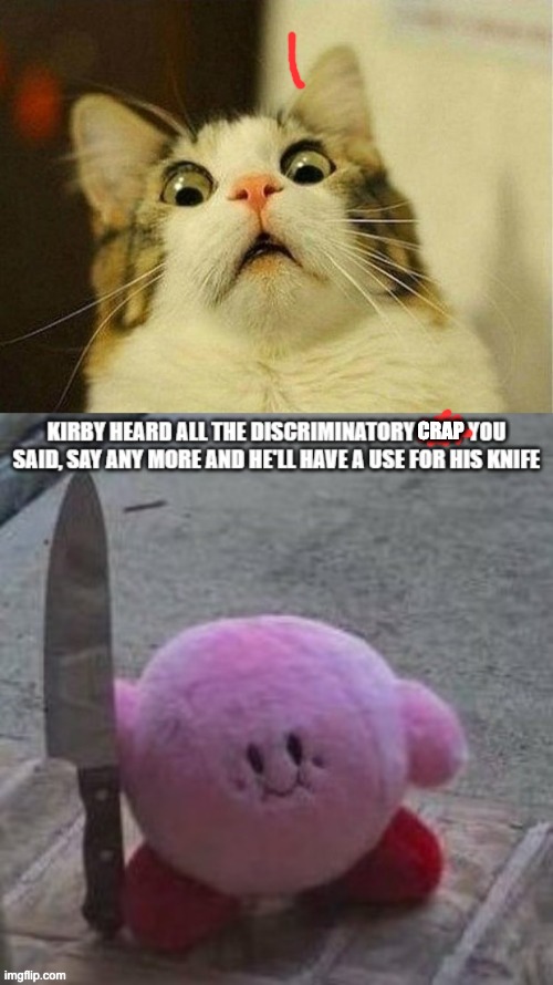 REPOST TO HOMOPHOBS, RACIST, SEXIST, ANTIRELIGIONISTS, ETC | CRAP | image tagged in memes,scared cat | made w/ Imgflip meme maker