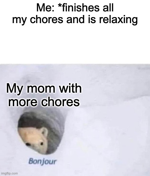 Bonjour | Me: *finishes all my chores and is relaxing; My mom with more chores | image tagged in bonjour,funny,memes | made w/ Imgflip meme maker