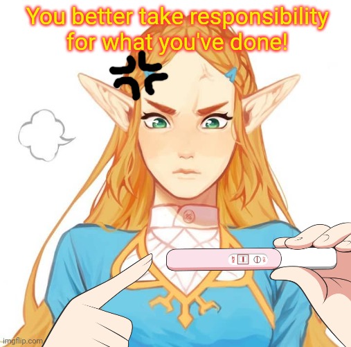 Link problems | You better take responsibility for what you've done! | image tagged in the legend of zelda,pregnancy test,zelda,anime girl | made w/ Imgflip meme maker