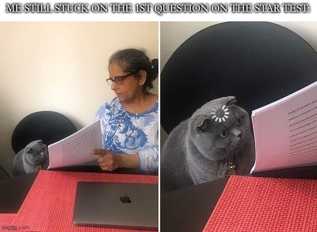 STAAR test |  ME STILL STUCK ON THE 1ST QUESTION ON THE STAR TEST: | image tagged in woman showing paper to cat,dank memes,funny,cat,school,true story | made w/ Imgflip meme maker