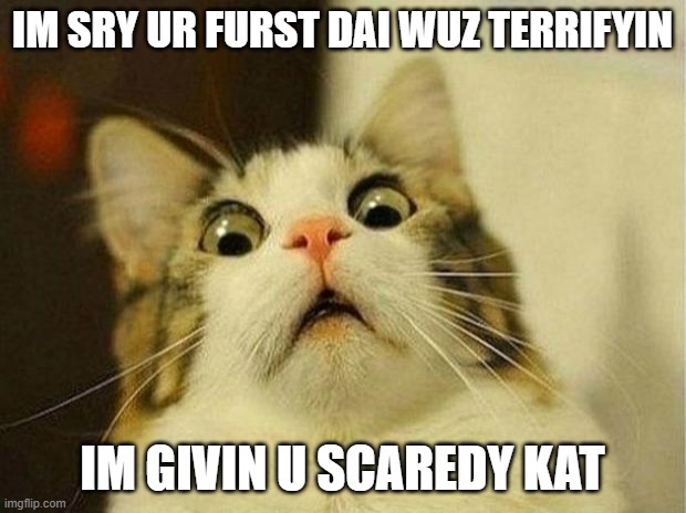 FURST DAI OV SKOOL WUZ SCARY | IM SRY UR FURST DAI WUZ TERRIFYIN; IM GIVIN U SCAREDY KAT | image tagged in memes,scared cat,first day of school | made w/ Imgflip meme maker