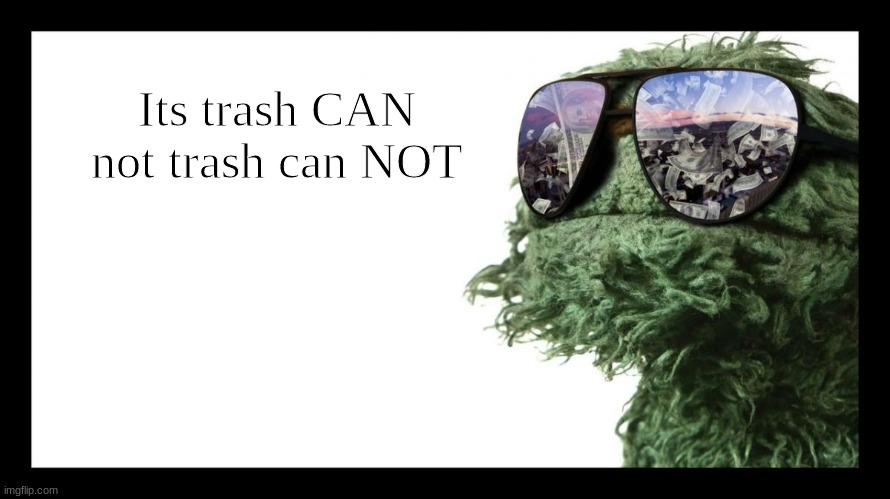 Oscar the Grouch | Its trash CAN not trash can NOT | image tagged in oscar the grouch | made w/ Imgflip meme maker