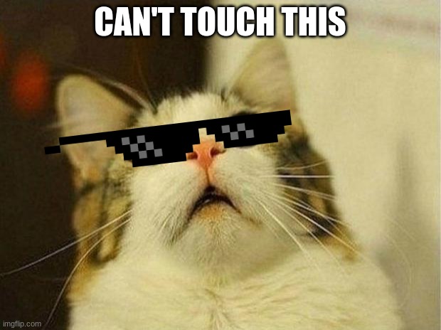 Scared Cat Meme | CAN'T TOUCH THIS | image tagged in memes,scared cat | made w/ Imgflip meme maker