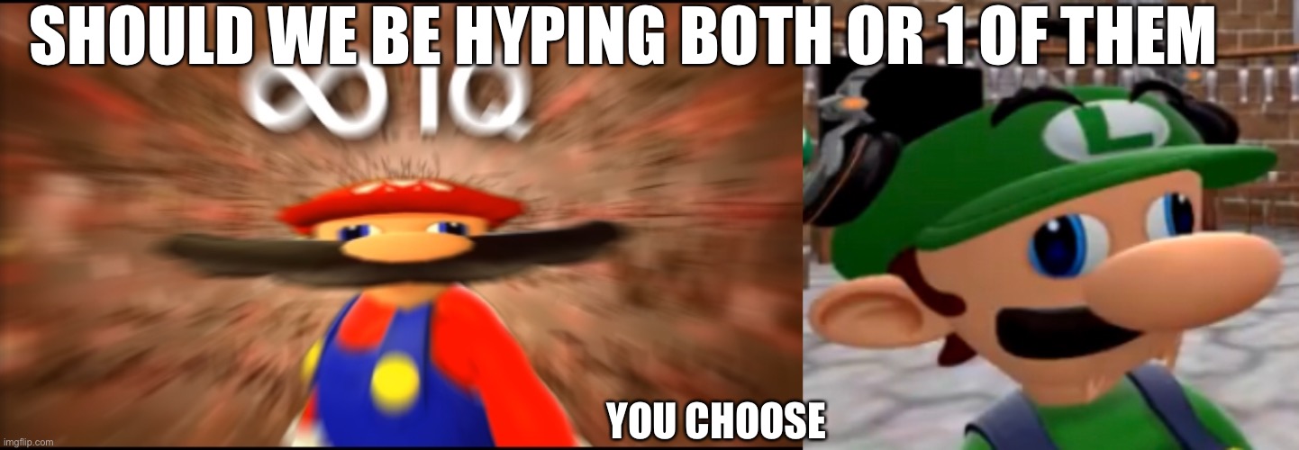A new meme template | SHOULD WE BE HYPING BOTH OR 1 OF THEM; YOU CHOOSE | image tagged in infinity iq mario,l u i g | made w/ Imgflip meme maker