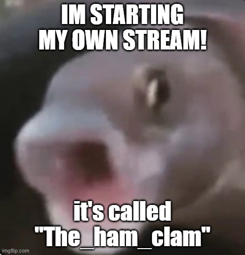 heeeyo | IM STARTING MY OWN STREAM! it's called "The_ham_clam" | image tagged in poggers fish | made w/ Imgflip meme maker