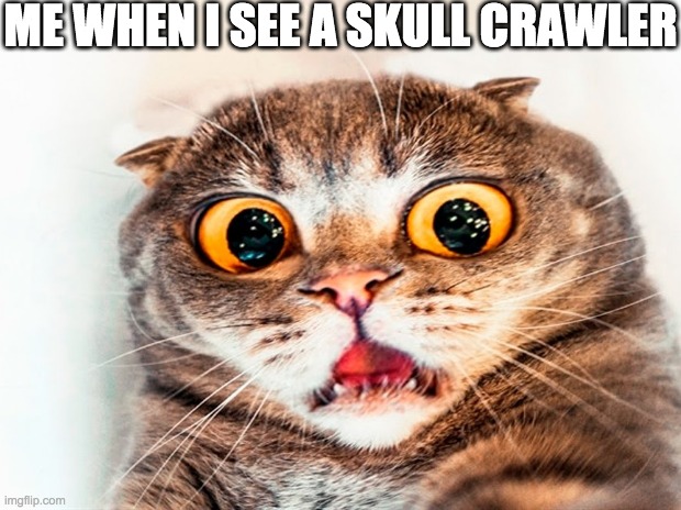 ME WHEN I SEE A SKULL CRAWLER | made w/ Imgflip meme maker