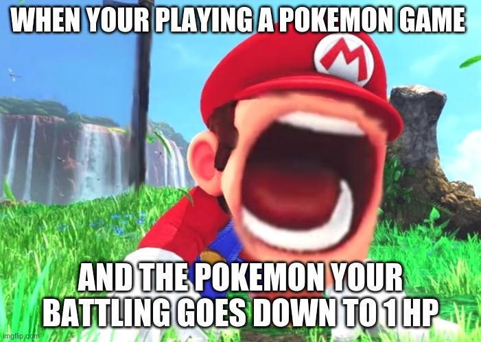 Mario screaming | WHEN YOUR PLAYING A POKEMON GAME; AND THE POKEMON YOUR BATTLING GOES DOWN TO 1 HP | image tagged in mario screaming | made w/ Imgflip meme maker