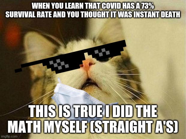 This is truth | WHEN YOU LEARN THAT COVID HAS A 73% SURVIVAL RATE AND YOU THOUGHT IT WAS INSTANT DEATH; THIS IS TRUE I DID THE MATH MYSELF (STRAIGHT A'S) | image tagged in memes,scared cat | made w/ Imgflip meme maker