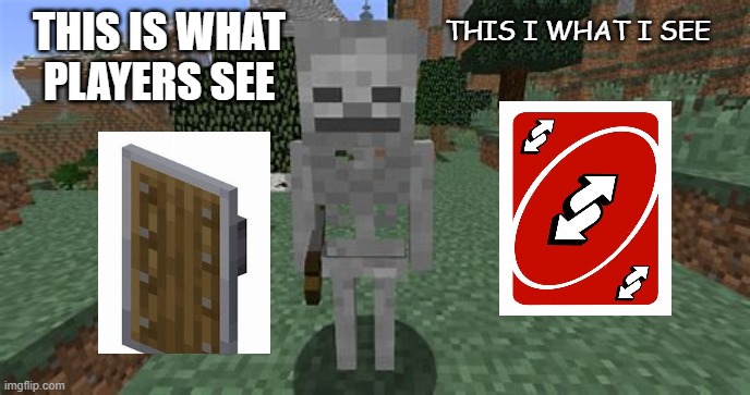 skeleton | THIS IS WHAT PLAYERS SEE; THIS I WHAT I SEE | image tagged in skeleton | made w/ Imgflip meme maker