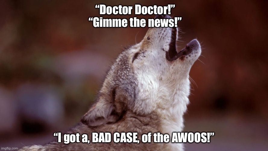 Awoo | “Doctor Doctor!”
“Gimme the news!”; “I got a, BAD CASE, of the AWOOS!” | image tagged in wolves,furries,funny animals | made w/ Imgflip meme maker