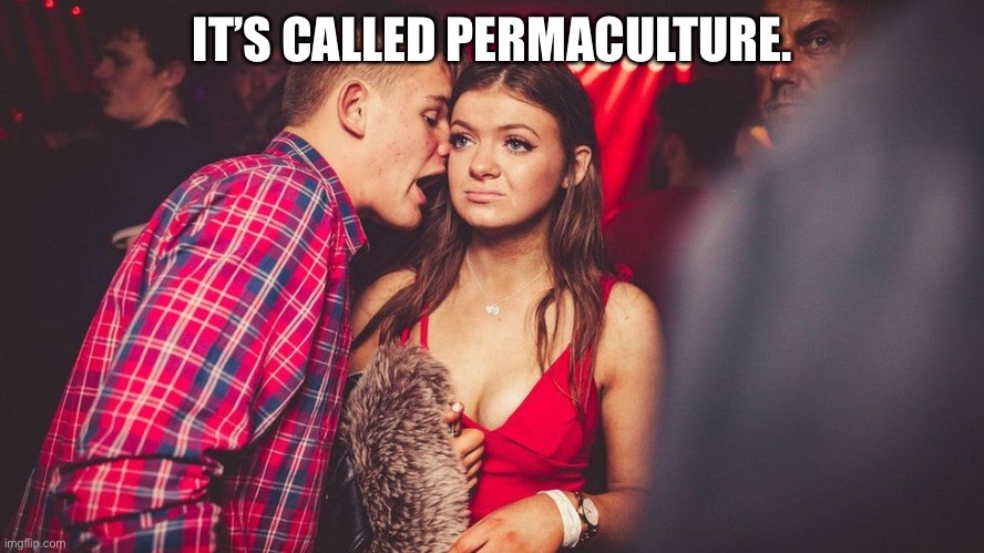Guy talking to girl | IT’S CALLED PERMACULTURE. | image tagged in guy talking to girl | made w/ Imgflip meme maker
