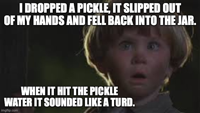 dumb kid | I DROPPED A PICKLE, IT SLIPPED OUT OF MY HANDS AND FELL BACK INTO THE JAR. WHEN IT HIT THE PICKLE WATER IT SOUNDED LIKE A TURD. | image tagged in dumb kid | made w/ Imgflip meme maker