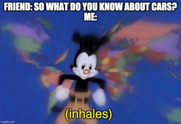 wanna hear every car i know | FRIEND: SO WHAT DO YOU KNOW ABOUT CARS?
ME:; (inhales) | image tagged in yakko's world | made w/ Imgflip meme maker