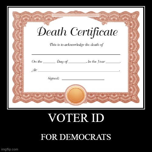 That's the only way I'll vote Democrat. | image tagged in funny,demotivationals | made w/ Imgflip demotivational maker