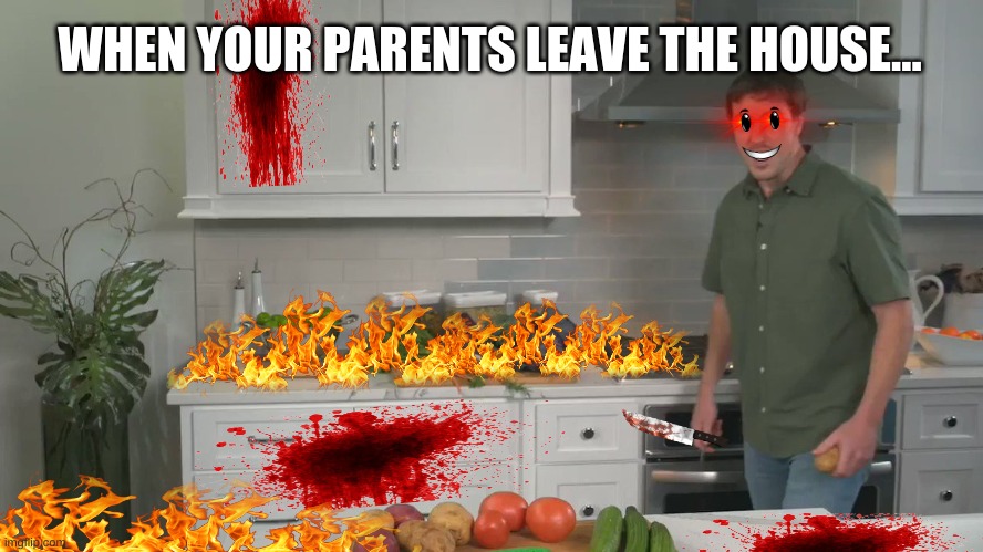 When your parents leave the house... | WHEN YOUR PARENTS LEAVE THE HOUSE... | image tagged in funny,meme | made w/ Imgflip meme maker