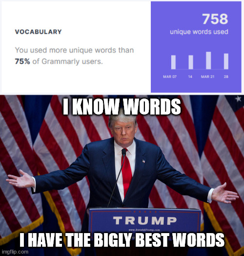 Bigly Grammarly Trump | I KNOW WORDS; I HAVE THE BIGLY BEST WORDS | image tagged in donald trump,grammarly,words,maga | made w/ Imgflip meme maker