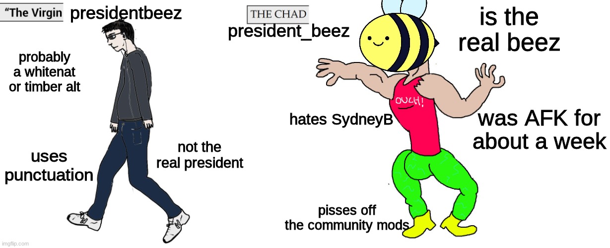 the underscore is the difference, he is a fake | presidentbeez; president_beez; is the real beez; probably a whitenat or timber alt; was AFK for about a week; hates SydneyB; not the real president; uses punctuation; pisses off the community mods | image tagged in virgin and chad | made w/ Imgflip meme maker