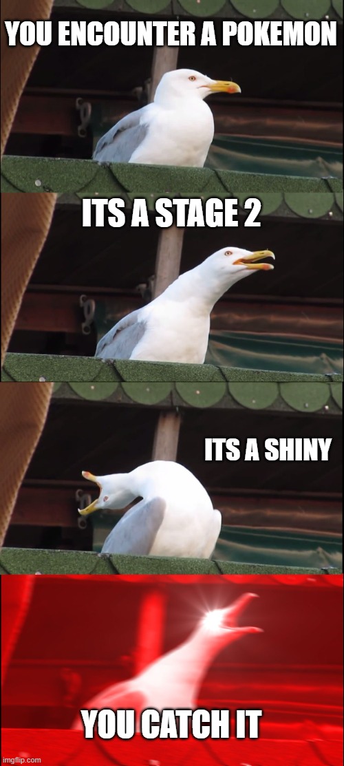 lucky | YOU ENCOUNTER A POKEMON; ITS A STAGE 2; ITS A SHINY; YOU CATCH IT | image tagged in memes,inhaling seagull,pokemon,oh wow are you actually reading these tags | made w/ Imgflip meme maker