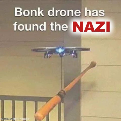 Bonk drone has found the Nazi | image tagged in bonk drone has found the nazi | made w/ Imgflip meme maker