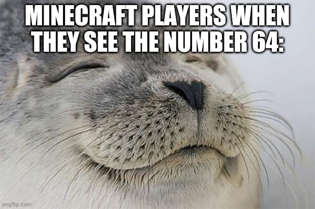 Satisfied Seal Meme | MINECRAFT PLAYERS WHEN THEY SEE THE NUMBER 64: | image tagged in memes,satisfied seal | made w/ Imgflip meme maker