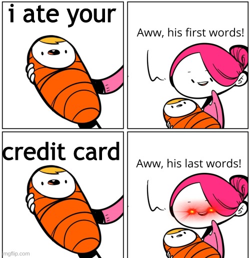 There goes her money | i ate your; credit card | image tagged in aww his last words | made w/ Imgflip meme maker