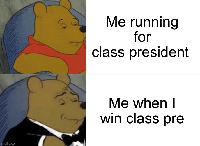 Class president | Me running for class president; Me when I win class president | image tagged in memes,tuxedo winnie the pooh | made w/ Imgflip meme maker