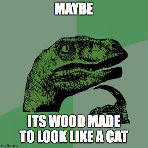 Philosoraptor Meme | MAYBE ITS WOOD MADE TO LOOK LIKE A CAT | image tagged in memes,philosoraptor | made w/ Imgflip meme maker