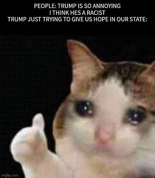 Approved crying cat | PEOPLE: TRUMP IS SO ANNOYING I THINK HES A RACIST
TRUMP JUST TRYING TO GIVE US HOPE IN OUR STATE: | image tagged in approved crying cat | made w/ Imgflip meme maker