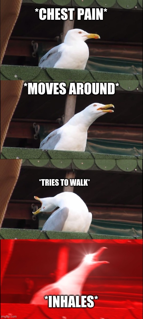 Inhaling Seagull | *CHEST PAIN*; *MOVES AROUND*; *TRIES TO WALK*; *INHALES* | image tagged in memes,inhaling seagull | made w/ Imgflip meme maker