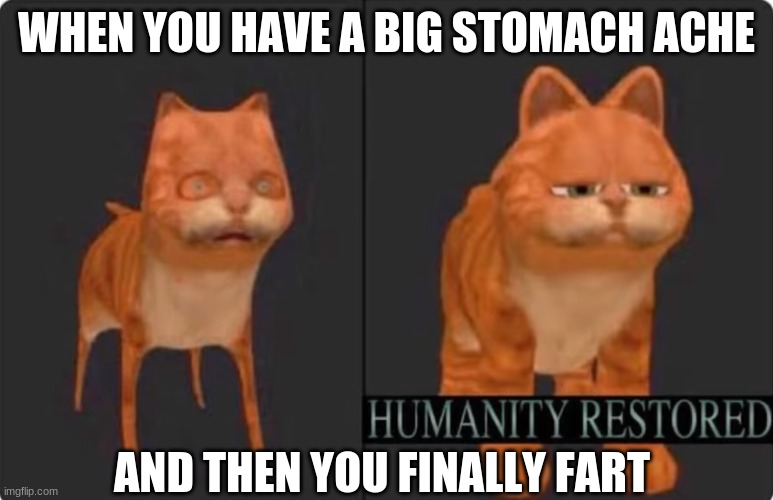 humanity restored | WHEN YOU HAVE A BIG STOMACH ACHE; AND THEN YOU FINALLY FART | image tagged in humanity restored | made w/ Imgflip meme maker