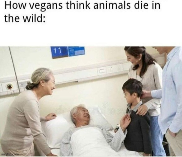 f-in vegans | image tagged in vegans,vegan logic,vegans do everthing better even fart,veganism,repost,dark humor | made w/ Imgflip meme maker