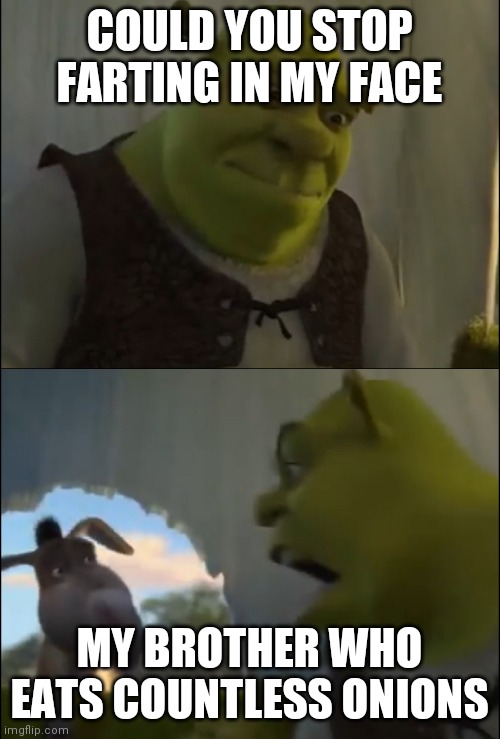 Shrek yelling at donkey | COULD YOU STOP FARTING IN MY FACE; MY BROTHER WHO EATS COUNTLESS ONIONS | image tagged in shrek yelling at donkey | made w/ Imgflip meme maker