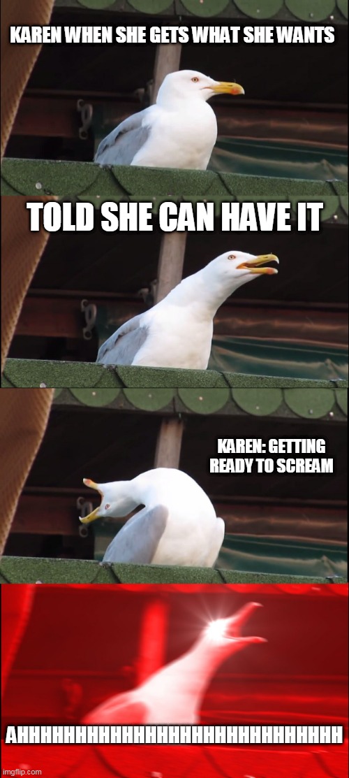 Inhaling Seagull Meme | KAREN WHEN SHE GETS WHAT SHE WANTS; TOLD SHE CAN HAVE IT; KAREN: GETTING READY TO SCREAM; AHHHHHHHHHHHHHHHHHHHHHHHHHHHH | image tagged in memes,inhaling seagull | made w/ Imgflip meme maker