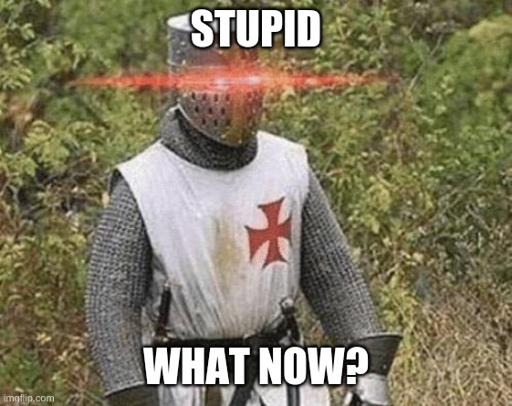 Growing Stronger Crusader | STUPID WHAT NOW? | image tagged in growing stronger crusader | made w/ Imgflip meme maker